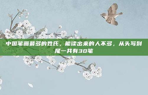 中国笔画最多的姓氏，能读出来的人不多，从头写到尾一共有30笔