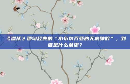 《潜伏》那句经典的“小布尔乔亚的无病呻吟”，到底是什么意思？