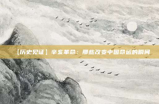 【历史见证】辛亥革命：那些改变中国命运的瞬间