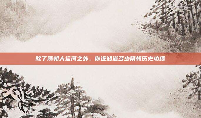 除了隋朝大运河之外，你还知道多少隋朝历史功绩