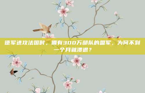 德军进攻法国时，拥有300万部队的盟军，为何不到一个月就溃退？