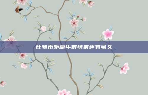 比特币距离牛市结束还有多久