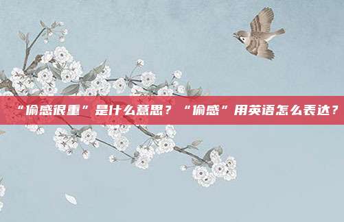 “偷感很重”是什么意思？“偷感”用英语怎么表达？