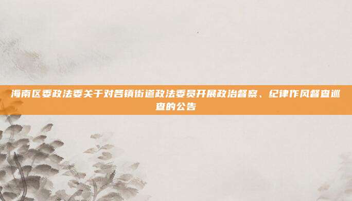 海南区委政法委关于对各镇街道政法委员开展政治督察、纪律作风督查巡查的公告