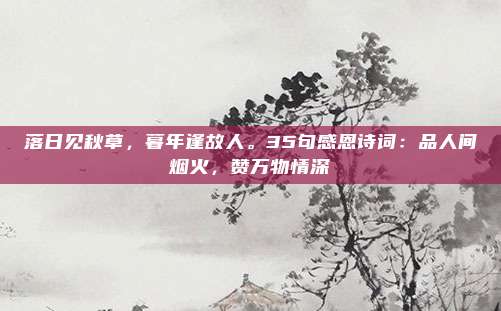 落日见秋草，暮年逢故人。35句感恩诗词：品人间烟火，赞万物情深