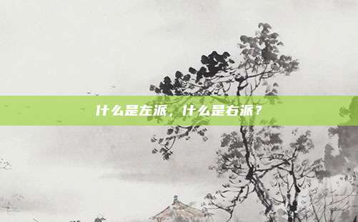 什么是左派，什么是右派？