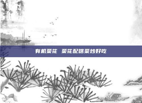 有机菜花 菜花配啥菜炒好吃