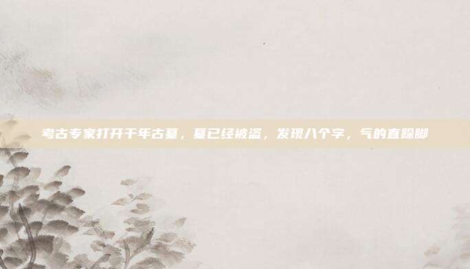 考古专家打开千年古墓,墓已经被盗,发现八个字,气的直跺脚