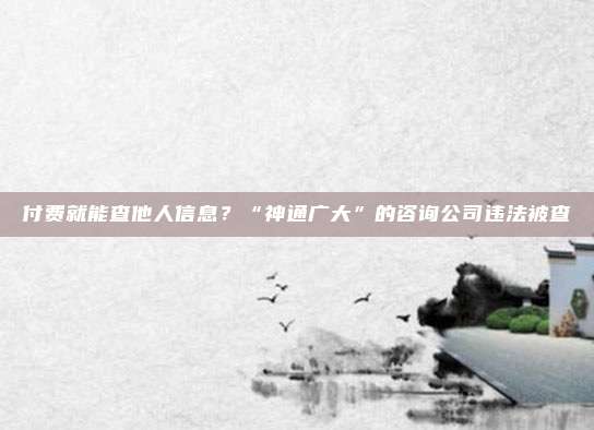 付费就能查他人信息?“神通广大”的咨询公司违法被查
