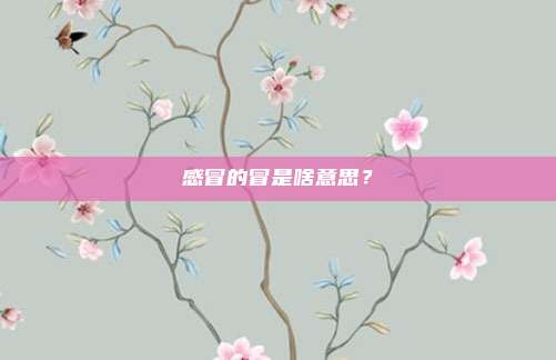 感冒的冒是啥意思？