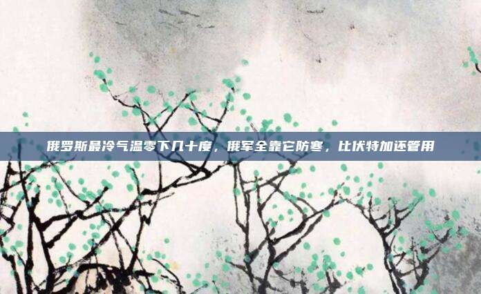 俄罗斯最冷气温零下几十度，俄军全靠它防寒，比伏特加还管用