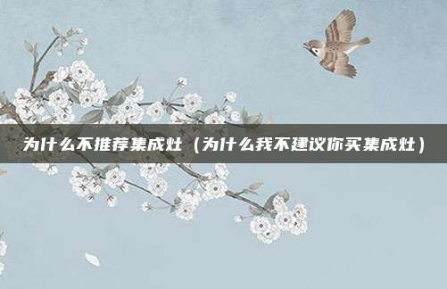 为什么不推荐集成灶(为什么我不建议你买集成灶)