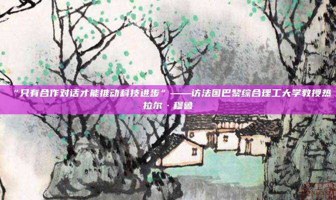 “只有合作对话才能推动科技进步”——访法国巴黎综合理工大学教授热拉尔·穆鲁