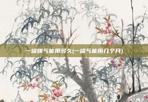 一罐煤气能用多久(一罐气能用几个月)