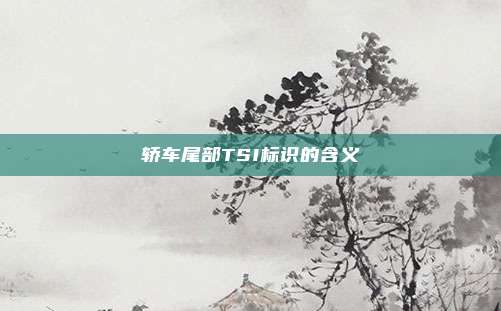 轿车尾部TSI标识的含义
