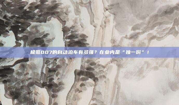 极氪007的自动泊车有多强？在业内是“独一份”！