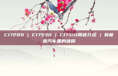 C17200 | C17530 | C17510用途介绍 | 新能源汽车里的铍铜