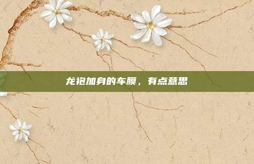 龙袍加身的车膜，有点意思