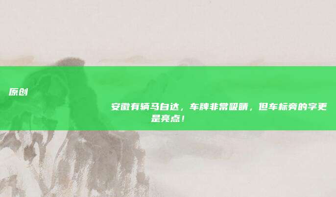 原创
                安徽有辆马自达，车牌非常吸睛，但车标旁的字更是亮点！