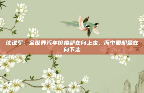 沈进军：全世界汽车价格都在向上走，而中国却是在向下走