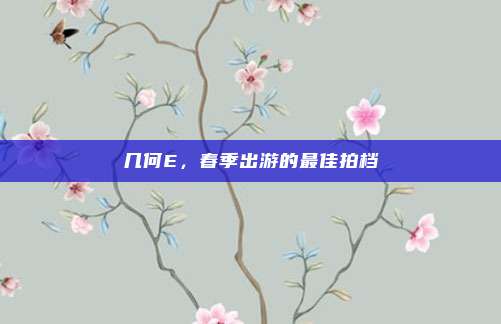 几何E，春季出游的最佳拍档