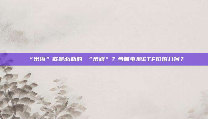 “出海”或是必然的 “出路”？当前电池ETF价值几何？