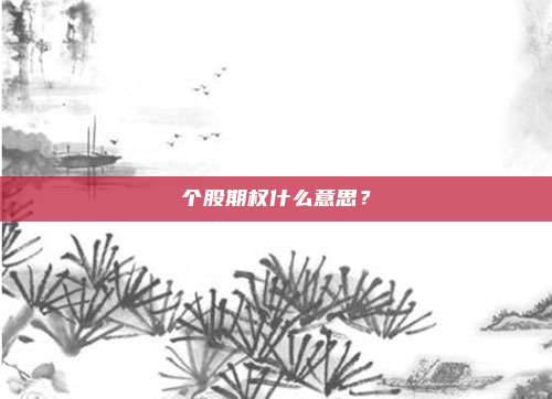 个股期权什么意思？