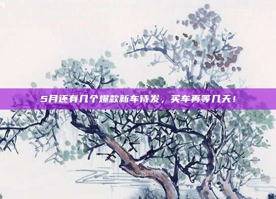 5月还有几个爆款新车待发，买车再等几天！