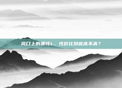 风口上的哪吒L，性价比到底高不高？