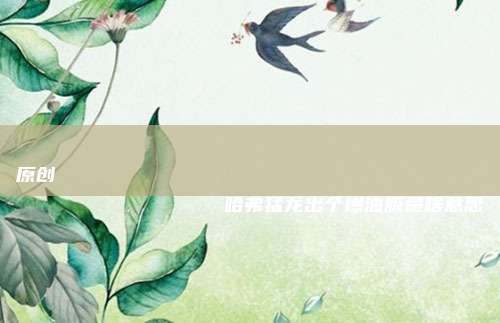 原创
                哈弗猛龙出个燃油版是啥意思