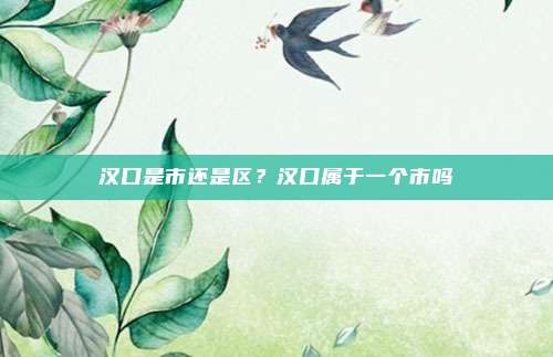 汉口是市还是区?汉口属于一个市吗
