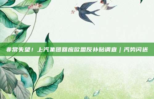 非常失望！上汽集团回应欧盟反补贴调查｜汽势闪送