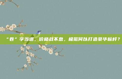 “卷”字当道，价格战不息，极氪何以打造豪华标杆？