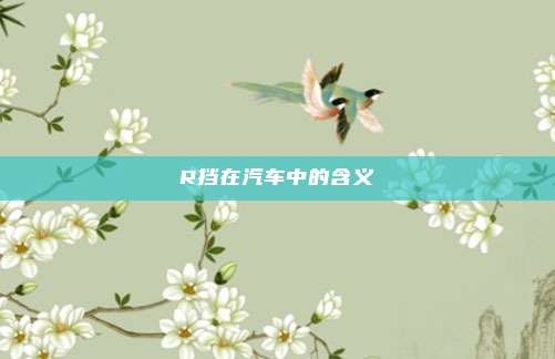 R挡在汽车中的含义
