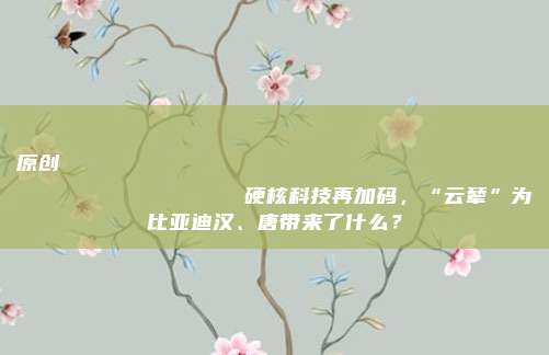 原创
                硬核科技再加码，“云辇”为比亚迪汉、唐带来了什么？