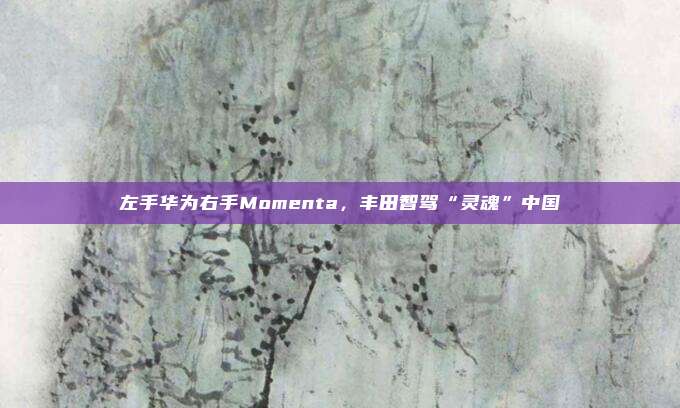 左手华为右手Momenta，丰田智驾“灵魂”中国