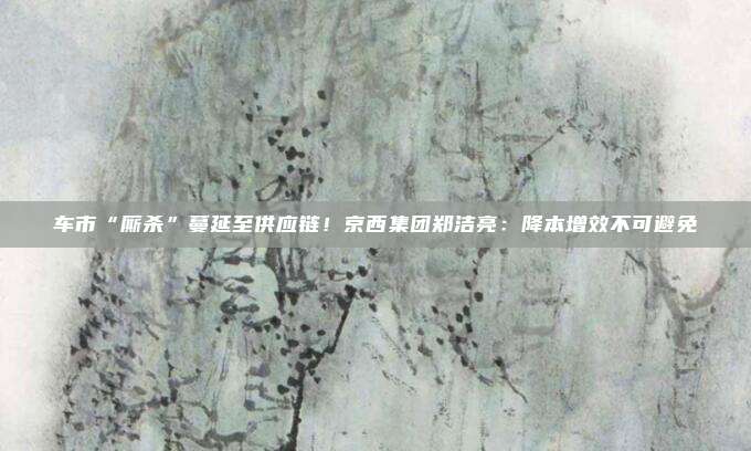 车市“厮杀”蔓延至供应链！京西集团郑洁亮：降本增效不可避免