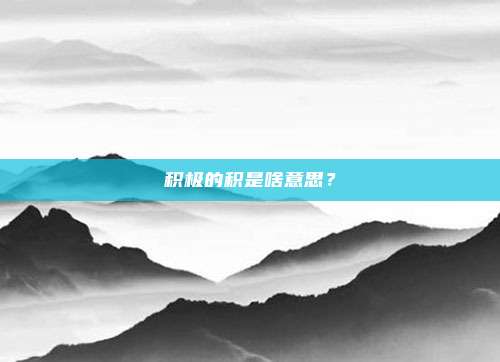 积极的积是啥意思？
