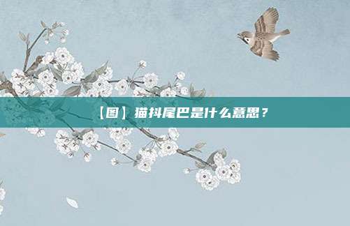 【图】猫抖尾巴是什么意思？