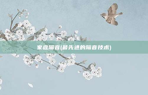 家庭隔音(最先进的隔音技术)