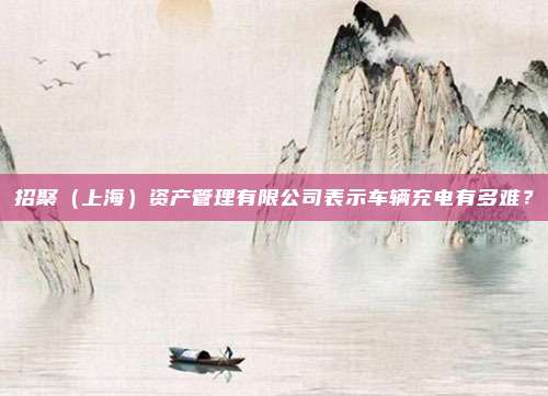 招聚（上海）资产管理有限公司表示车辆充电有多难？