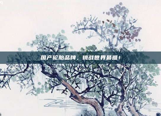 国产轮胎品牌，挑战世界最难！