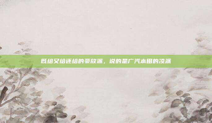 既给又给还给的豪放派，说的是广汽本田的凌派