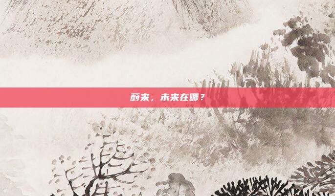 蔚来，未来在哪？