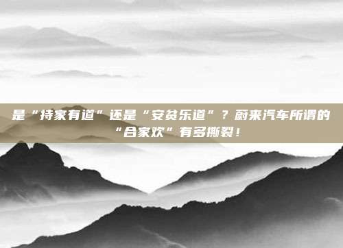 是“持家有道”还是“安贫乐道”？蔚来汽车所谓的“合家欢”有多撕裂！