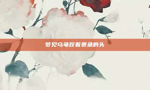 梦见乌龟咬着贵鱼的头
