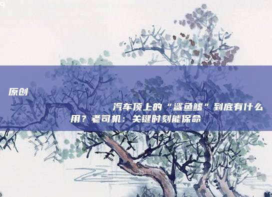原创
汽车顶上的“鲨鱼鳍”到底有什么用?老司机:关键时刻能保命