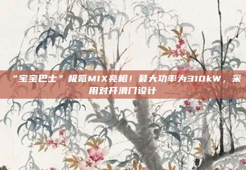 “宝宝巴士”极氪MIX亮相！最大功率为310kW，采用对开滑门设计