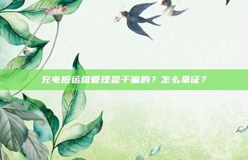 充电桩运维管理是干嘛的？怎么拿证？
