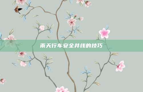 雨天行车安全并线的技巧